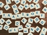 Scrabbleblokjes die het woord Taaltroef vormen
