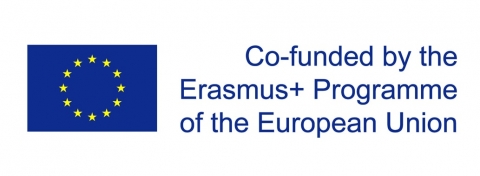 Afbeelding Erasmus